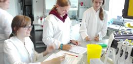 Die Schülerinnen und Schüler beschäftigten sich unter anderem mit der Mikrobiologie - hier beim Schneiden von Plasmiden mit Restriktionsenzymen.
