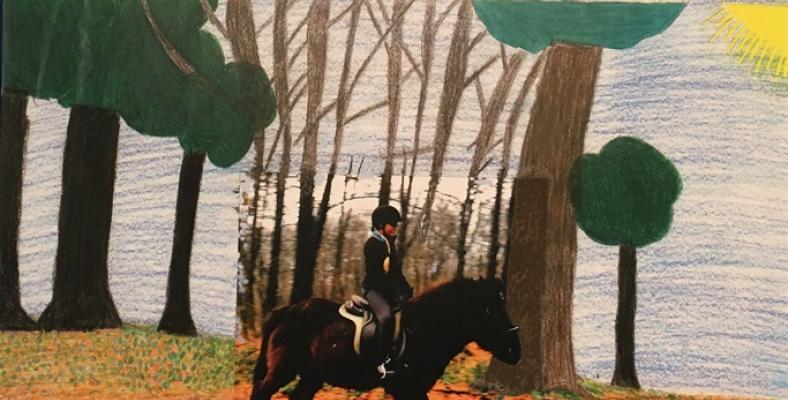 Das Siegerbild von Lilly Zimmermann